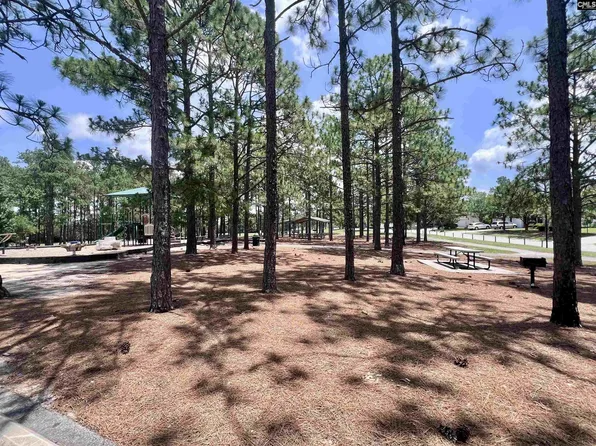 Photo of 216 Elders Pond Dr, Columbia, SC 29229